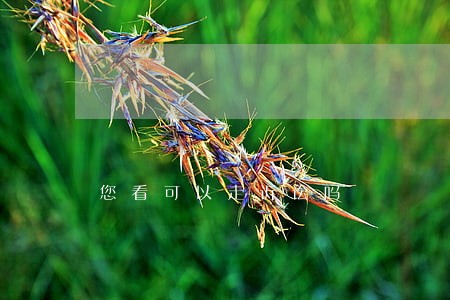 您看可以走诉讼吗 您看可以走诉讼吗