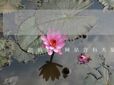 您访问的网站含有大量违法信息 您访问的网站含有大量违法信息