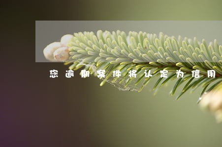 您逾期案件将认定为信用恶意透支
