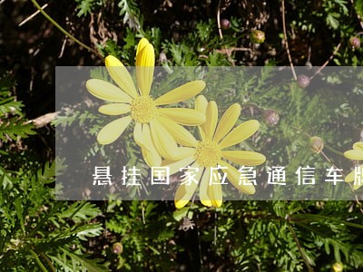 悬挂国家应急通信车牌是否违法 悬挂国家应急通信车牌是否违法