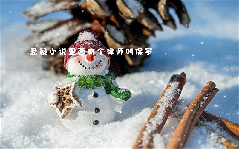 悬疑小说里面有个律师叫保罗 悬疑小说里面有个律师叫保罗