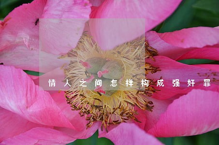 情人之间怎样构成强奸罪 情人之间怎样构成强奸罪