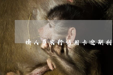 情人节农行信用卡逾期利息 情人节农行信用卡逾期利息