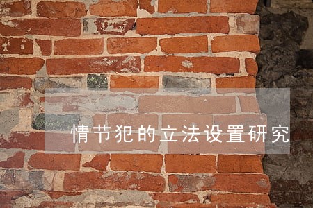 情节犯的立法设置研究 情节犯的立法设置研究