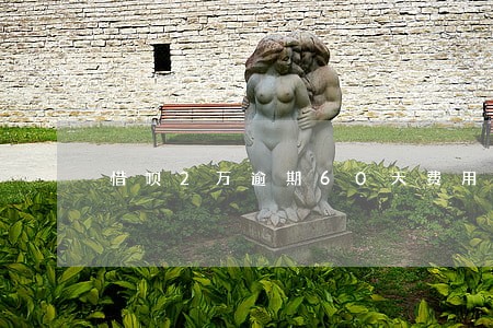惜呗2万逾期60天费用多少 惜呗2万逾期60天费用多少