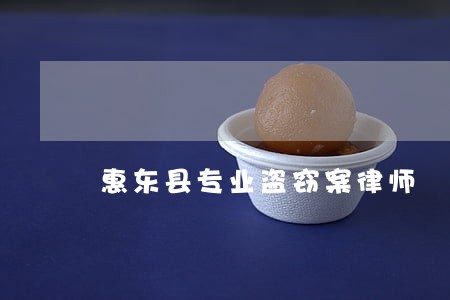 惠东县专业盗窃案律师 惠东县专业盗窃案律师