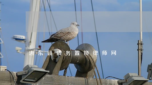 惠东县债务置换律师网 惠东县债务置换律师网