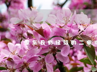 惠东县有经验的二审律师费用标准 惠东县有经验的二审律师费用标准