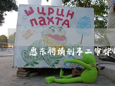 惠东聘请刑事二审律师 惠东聘请刑事二审律师