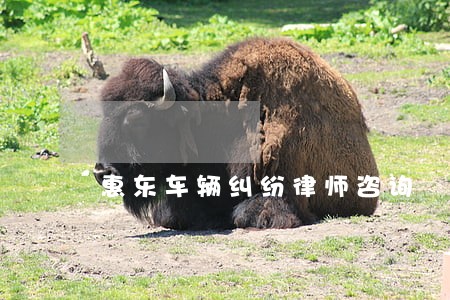 惠东车辆纠纷律师咨询 惠东车辆纠纷律师咨询