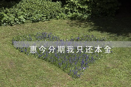 惠今分期我只还本金 惠今分期我只还本金