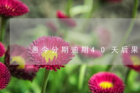 惠今分期逾期40天后果 惠今分期逾期40天后果