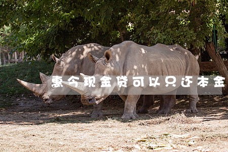 惠今现金贷可以只还本金吗 惠今现金贷可以只还本金吗