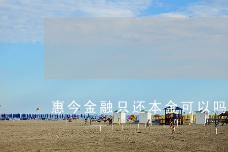 惠今金融只还本金可以吗