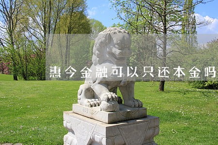 惠今金融可以只还本金吗 惠今金融可以只还本金吗