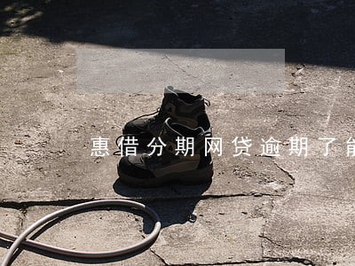 惠借分期网贷逾期了能借吗 惠借分期网贷逾期了能借吗