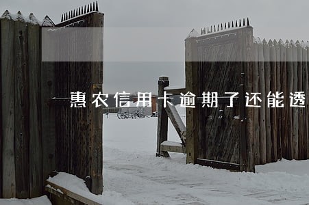 惠农信用卡逾期了还能透支吗 惠农信用卡逾期了还能透支吗