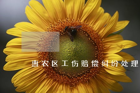 惠农区工伤赔偿纠纷处理律师