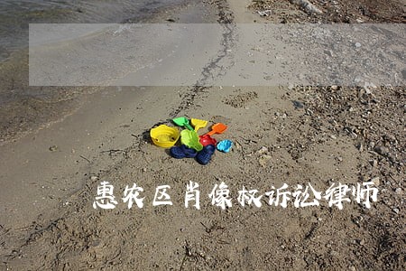 惠农区肖像权诉讼律师 惠农区肖像权诉讼律师