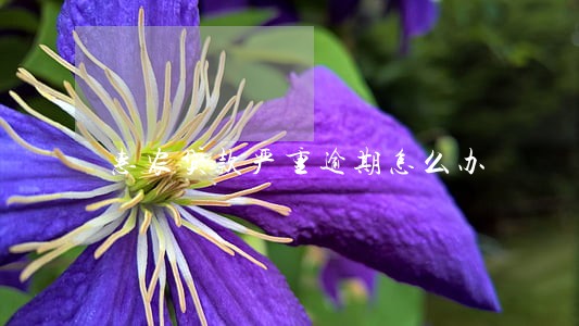 惠农贷款严重逾期怎么办 惠农贷款严重逾期怎么办