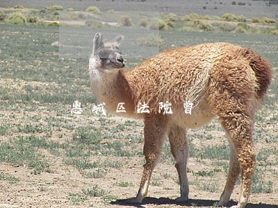 惠城区法院曾 惠城区法院曾