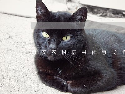 惠安农村信用社惠民卡逾期 惠安农村信用社惠民卡逾期
