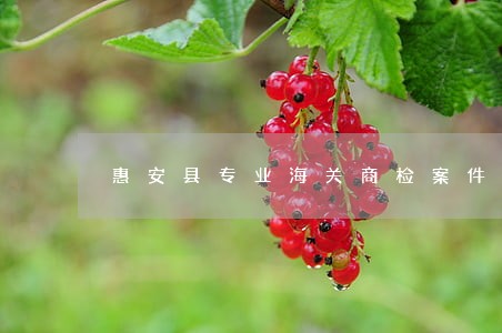 惠安县专业海关商检案件律师 惠安县专业海关商检案件律师