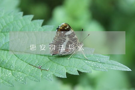 惠安司法局张