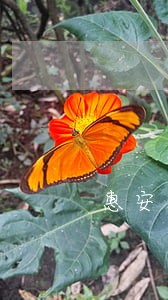 惠安法院刘庆燕简介 惠安法院刘庆燕简介
