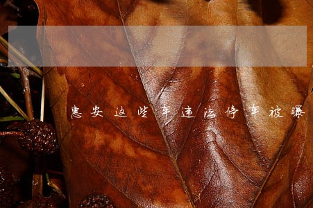 惠安这些车违法停车被曝光 惠安这些车违法停车被曝光