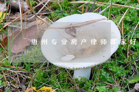 惠州专业房产律师哪家好 惠州专业房产律师哪家好