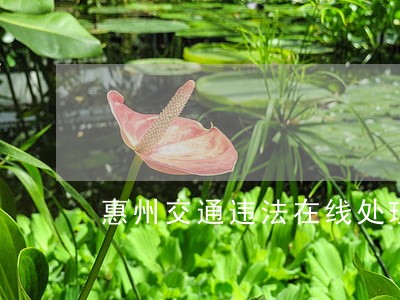 惠州交通违法在线处理系统 惠州交通违法在线处理系统