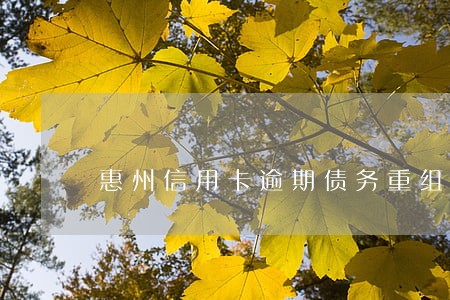 惠州信用卡逾期债务重组 惠州信用卡逾期债务重组