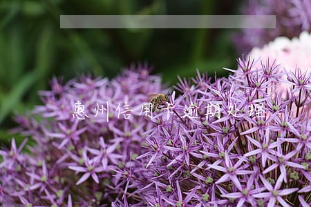 惠州信用卡逾期处理 惠州信用卡逾期处理
