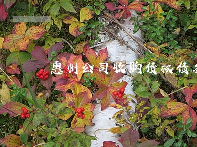 惠州公司收购债权债务律师函 惠州公司收购债权债务律师函