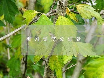 惠州司法公证处 惠州司法公证处