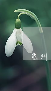 惠州员工法律咨询哪家好 惠州员工法律咨询哪家好