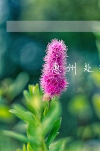 惠州处理网贷逾期可以找谁 惠州处理网贷逾期可以找谁