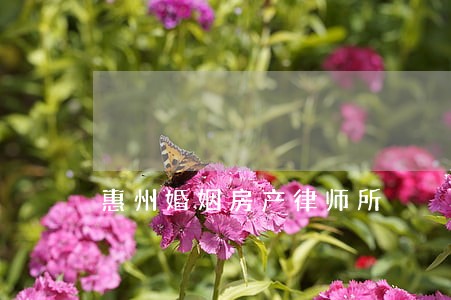 惠州婚姻房产律师所 惠州婚姻房产律师所