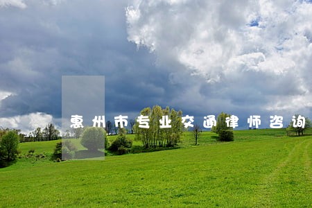 惠州市专业交通律师咨询 惠州市专业交通律师咨询