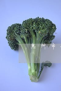惠州市专业刑事大律师 惠州市专业刑事大律师