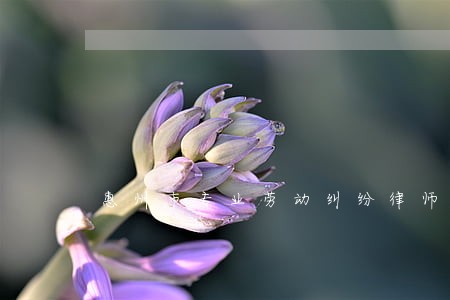 惠州市专业劳动纠纷律师推荐 惠州市专业劳动纠纷律师推荐