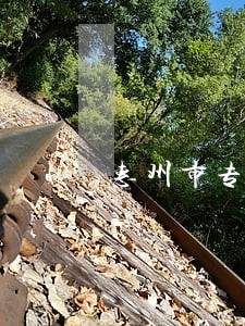 惠州市专业的婚姻律师 惠州市专业的婚姻律师