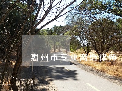 惠州市专业离婚律师 惠州市专业离婚律师