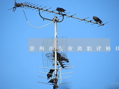 惠州市专业离婚律师找谁好 惠州市专业离婚律师找谁好
