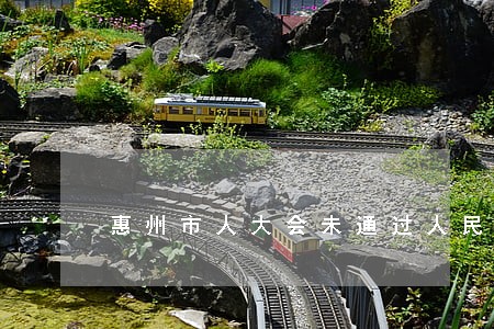 惠州市人大会未通过人民法官名单