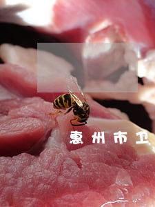 惠州市卫盈法律咨询电话