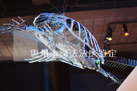 惠州市司法法医鉴定 惠州市司法法医鉴定