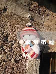惠州市婚姻财产律师找谁