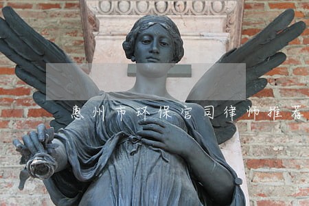 惠州市环保官司律师推荐 惠州市环保官司律师推荐